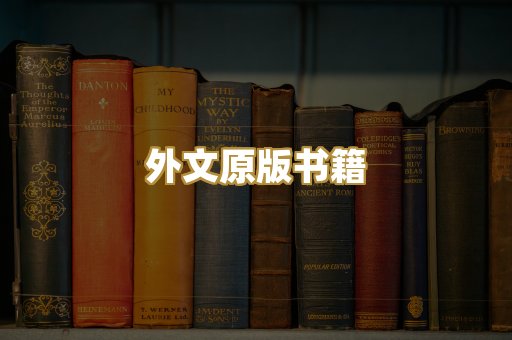 TXT文本书库